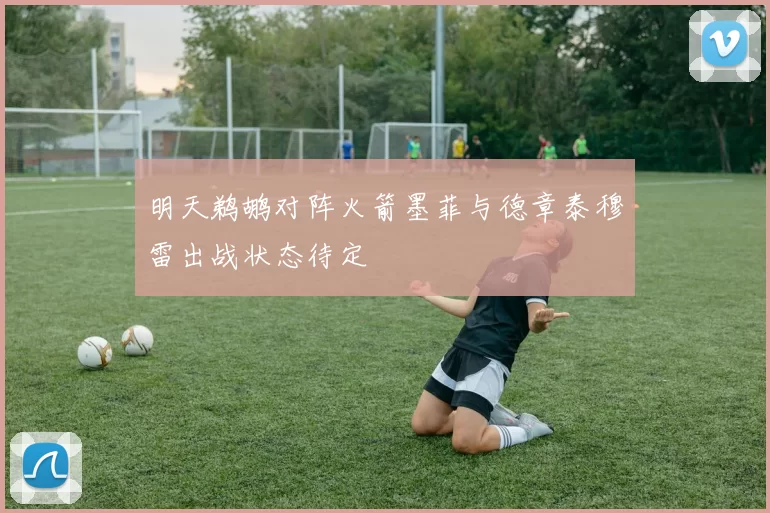 明天鹈鹕对阵火箭墨菲与德章泰穆雷出战状态待定